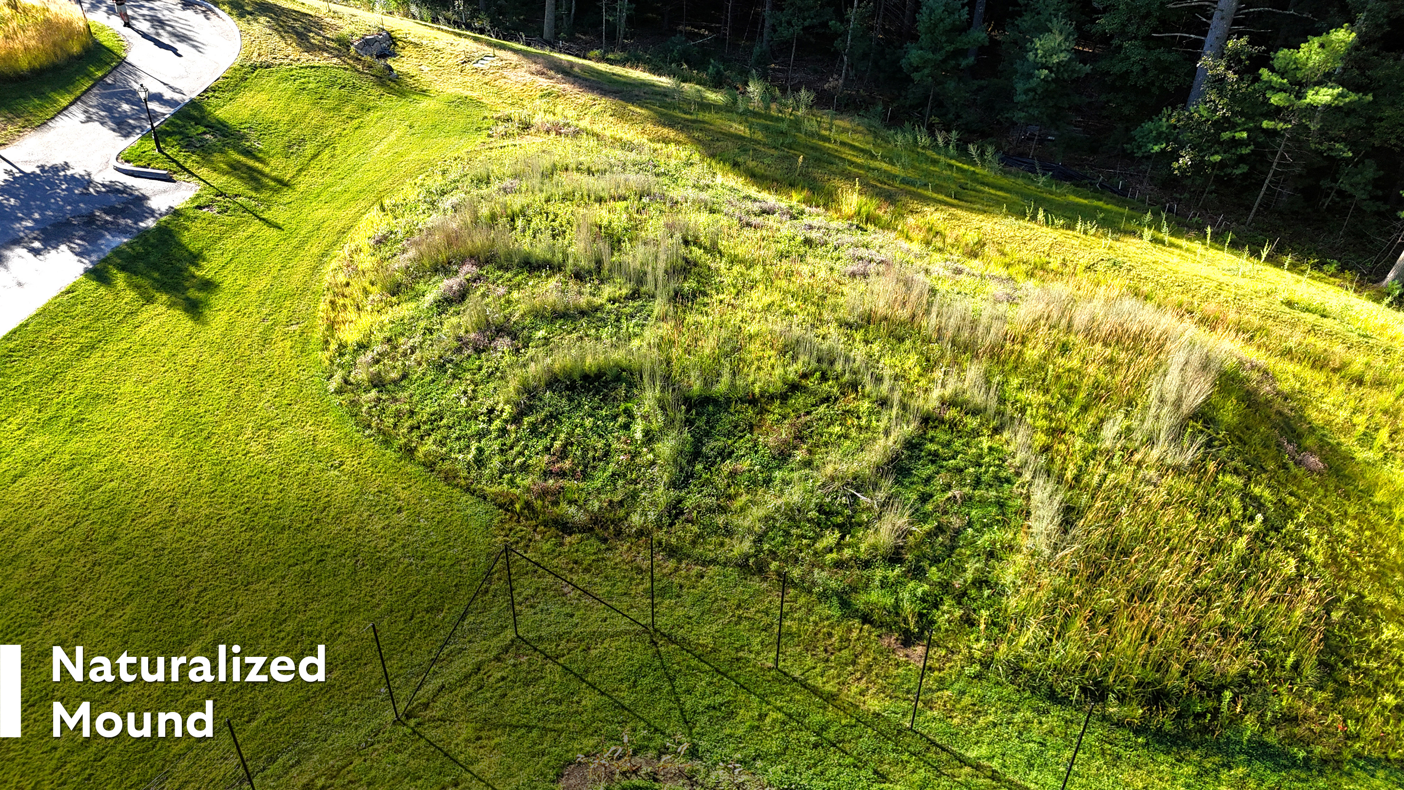 Hot Tub Pool & Koi Pond